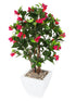 Artificial 3ft 2" Magenta Bougainvillea Tree